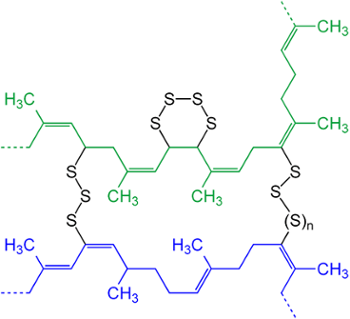 gen_Vulcanization_of_POLYIsoprene_V.2_01-14